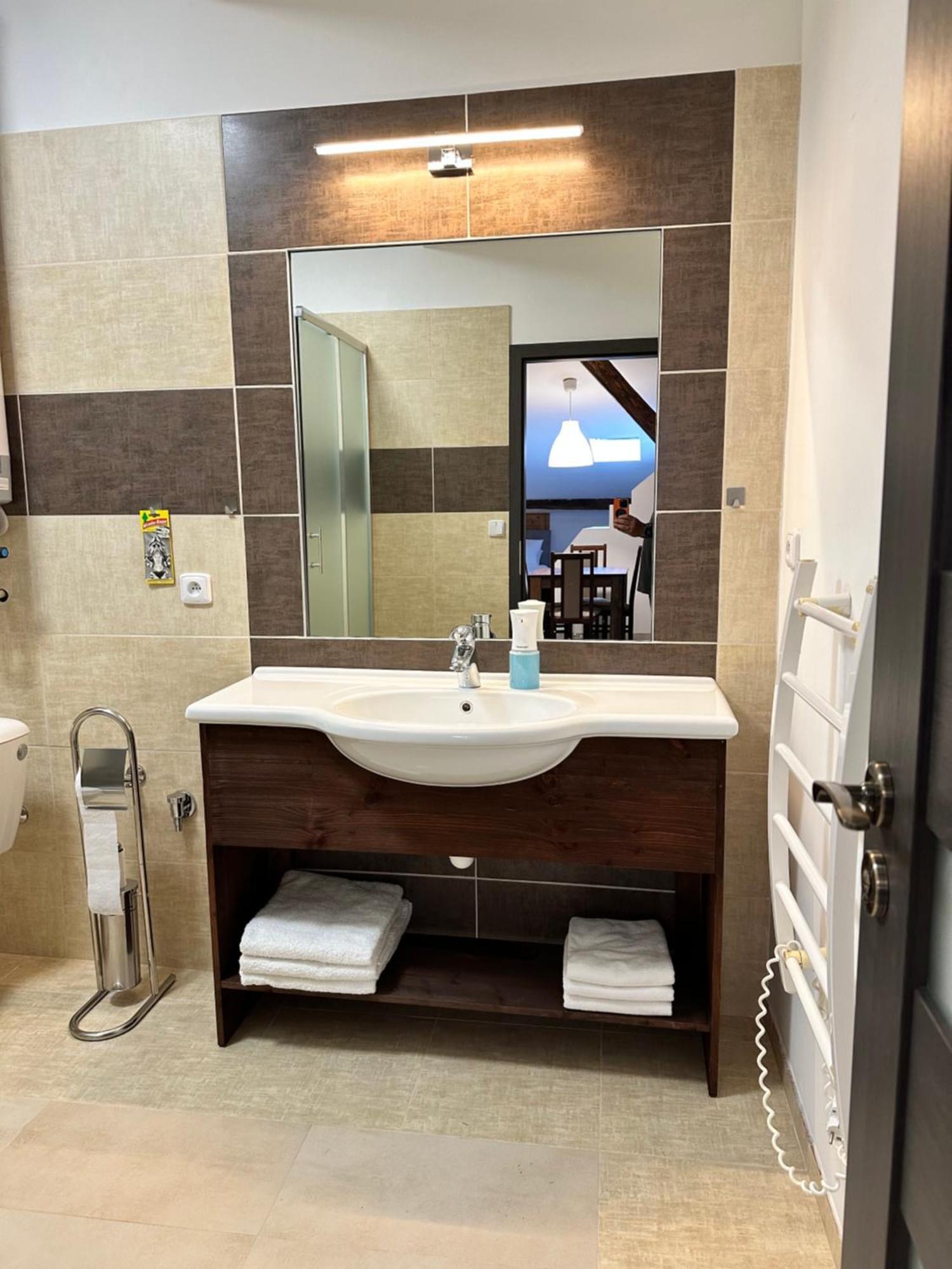 Studia Maxim Apartment Frydek-Mistek Luaran gambar