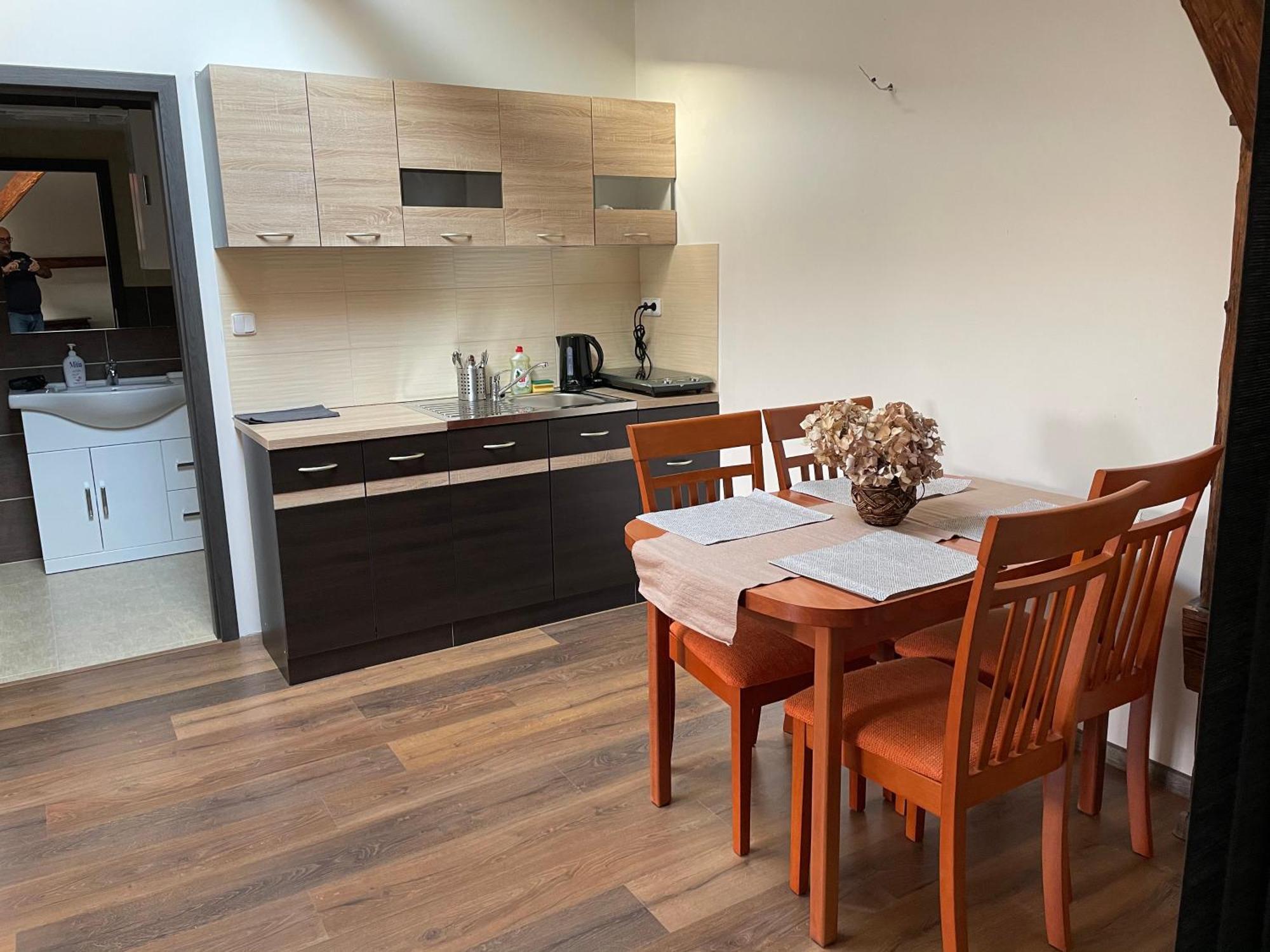 Studia Maxim Apartment Frydek-Mistek Luaran gambar